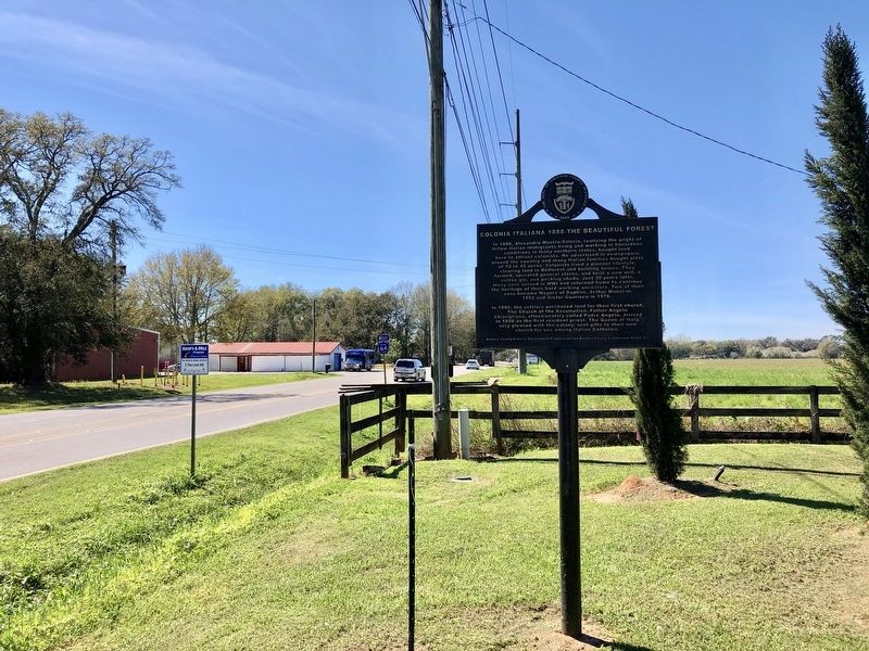 The view west on County Road 64. image. Click for full size.