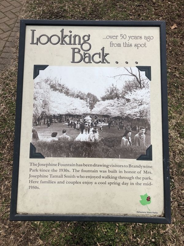 Looking Back... Marker. Click for full size. Looking Back... Marker image. Click for full size.