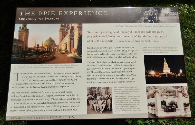 The PPIE Experience Marker image. Click for full size.