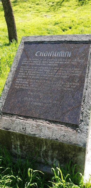 Choinumni Marker image. Click for full size.
