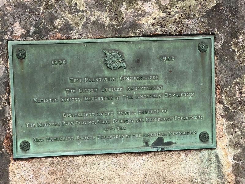 D.A.R. Red Pine Plantation Plaque image. Click for full size.