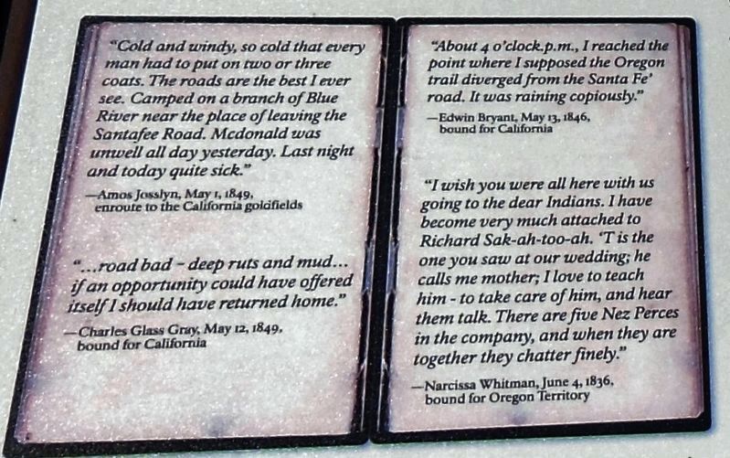Marker detail: Journal entries image. Click for full size.