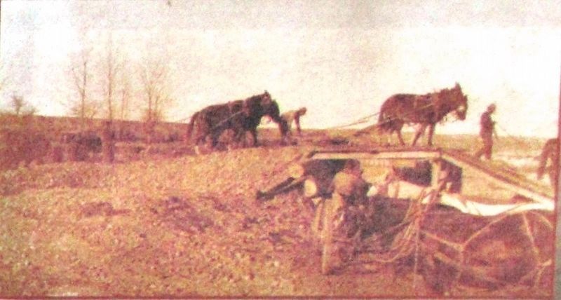 Marker detail: Using Mules and Horses to Work the Land image. Click for full size.
