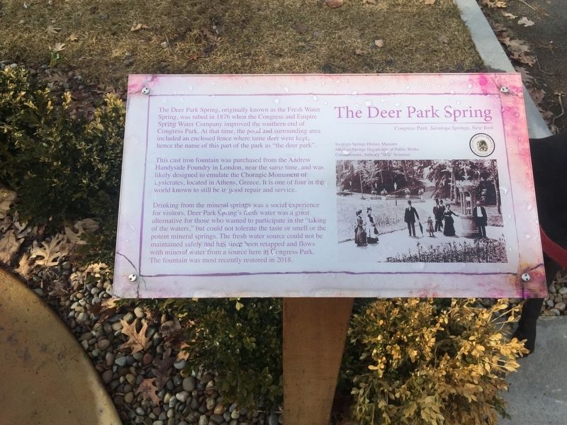 The Deer Park Spring Marker image. Click for full size.