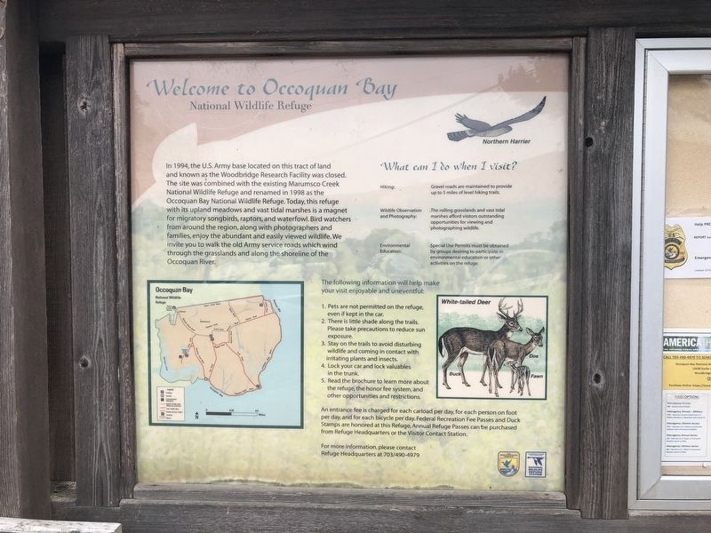 Welcome to Occoquan Bay National Wildlife Refuge Marker. Click for full size. Welcome to Occoquan Bay National Wildlife Refuge Marker image. Click for full size.
