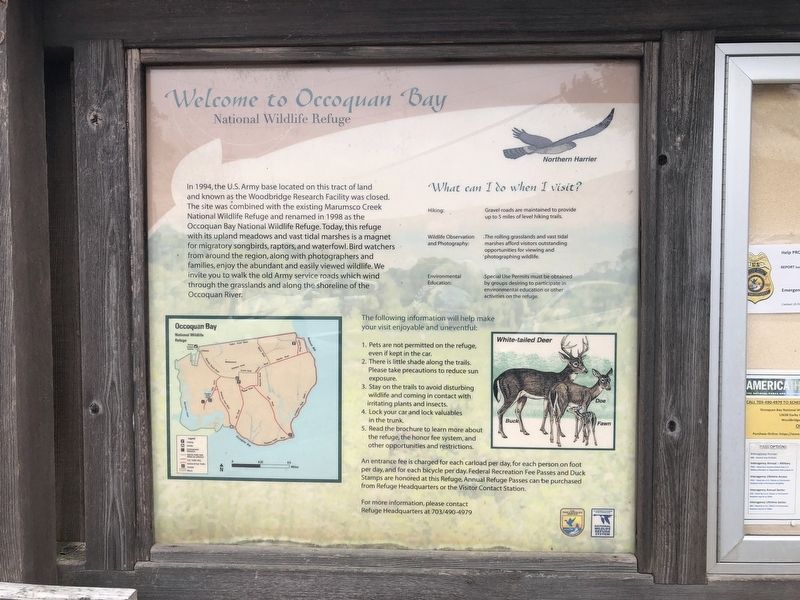 Welcome to Occoquan Bay National Wildlife Refuge Marker image. Click for full size.