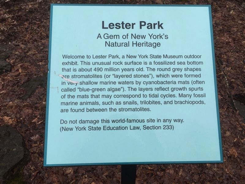 Lester Park Explanation image. Click for full size.