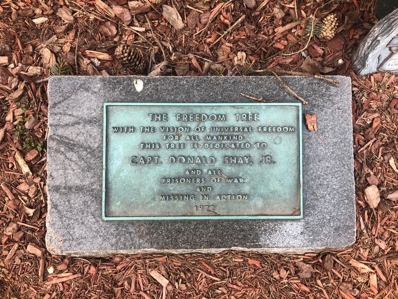 The Freedom Tree Marker image. Click for full size.