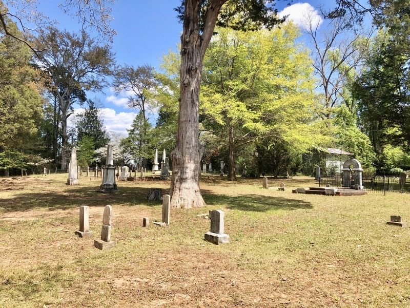 View of the Sylacauga Cemetery grave markers. image. Click for full size.