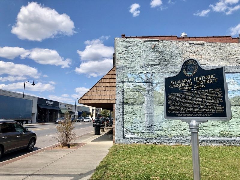 View of marker and part of historic district along Broadway Avenue. image. Click for full size.