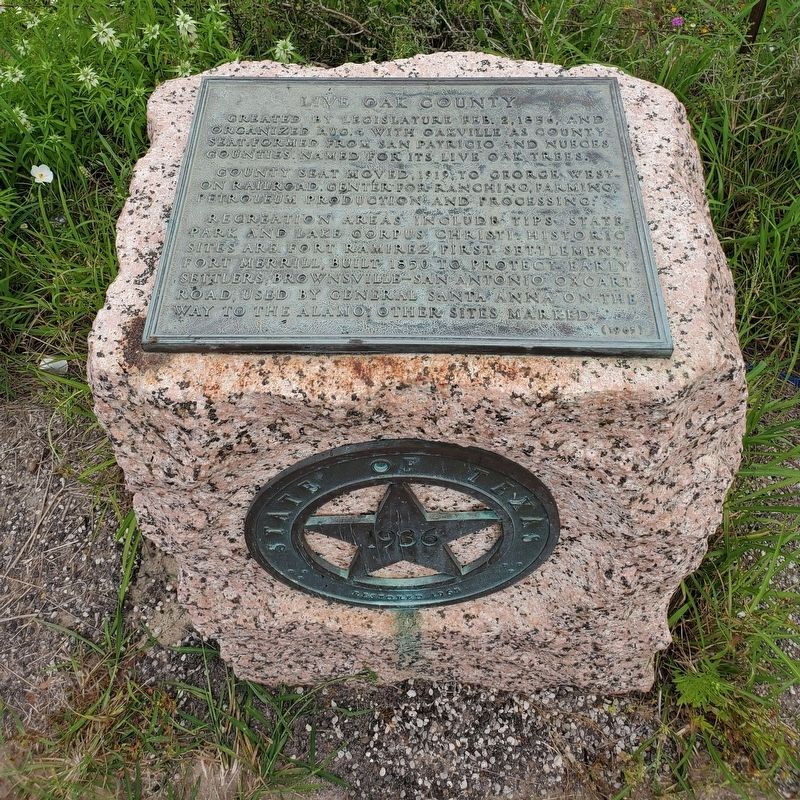 Live Oak County Marker image. Click for full size.