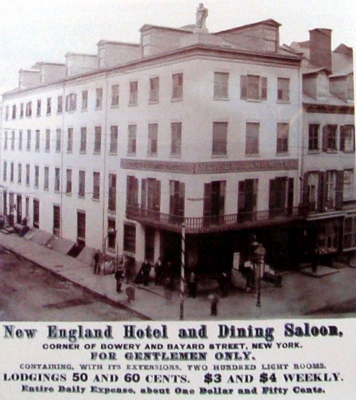 Inset image. Click for full size.