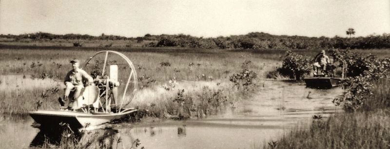 Life Along the Tamiami Marker (<i>background image</i>). Click for full size. Life Along the Tamiami Marker (<i>background image</i>) image. Click for full size.