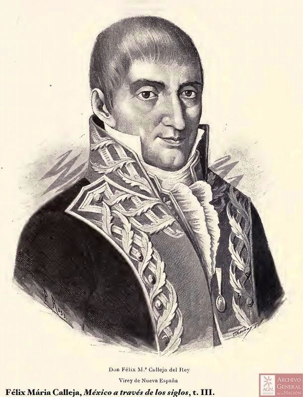 Félix María Calleja. Click for full size. Félix María Calleja image. Click for full size.