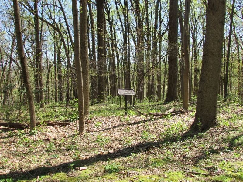 Innerline Defenses at Valley Forge. Click for full size. Innerline Defenses at Valley Forge image. Click for full size.