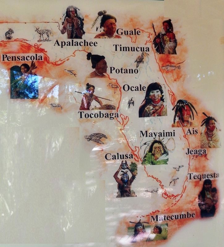 Marker detail: Regions of the major Pre-Columbian Florida Indian Tribes image. Click for full size.