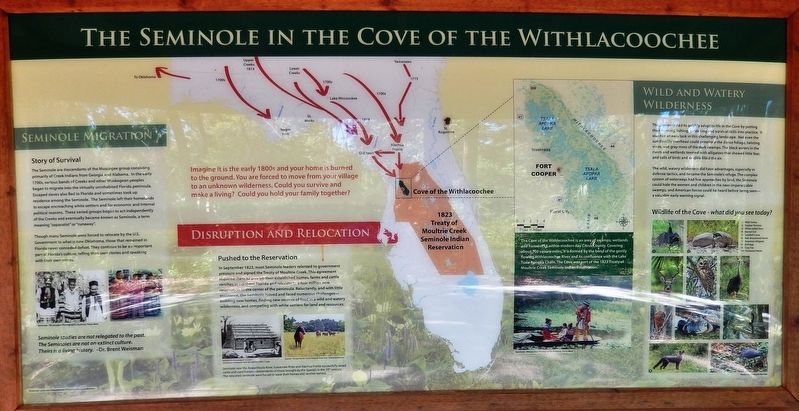 The Seminole in the Cove of the Withlacoochee Marker image. Click for full size.