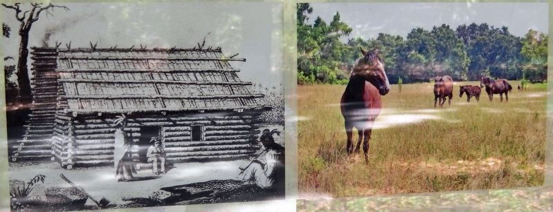 Marker detail: Seminole Homes and Spanish horses image. Click for full size.