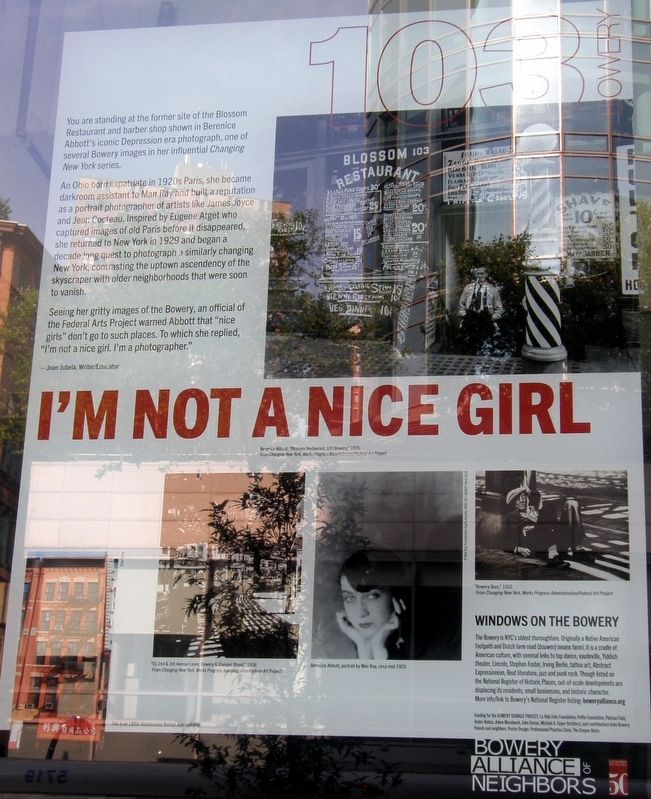 "I'm Not A Nice Girl" Marker. Click for full size. "I'm Not A Nice Girl" Marker image. Click for full size.