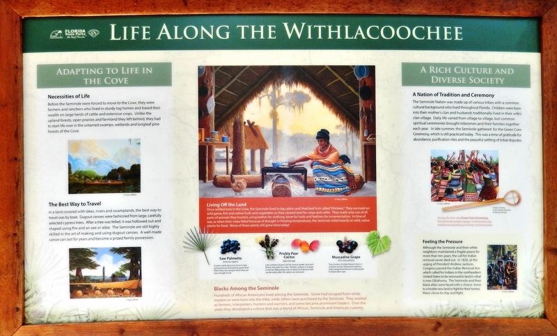 Life Along the Withlacoochee Marker image. Click for full size.