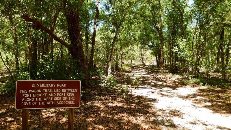 Old Military Road Marker (<i>wide view; Old Military Road trail in right background</i>) image. Click for full size.