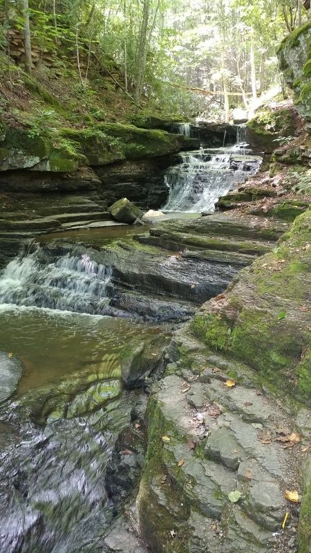 Pipestem Falls. Click for full size. Pipestem Falls image. Click for full size.