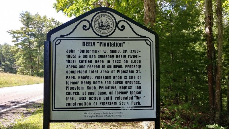 Neely "Plantation" Marker image. Click for full size.