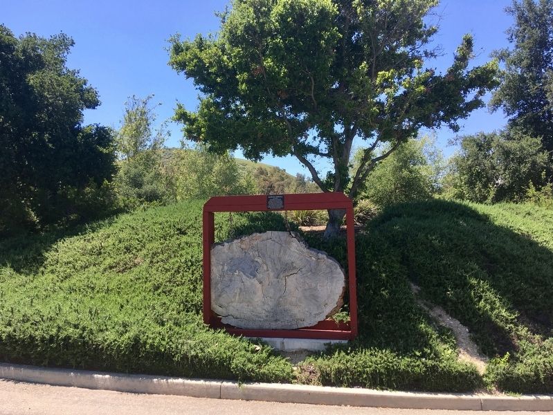 Heritage Oak Marker image. Click for full size.
