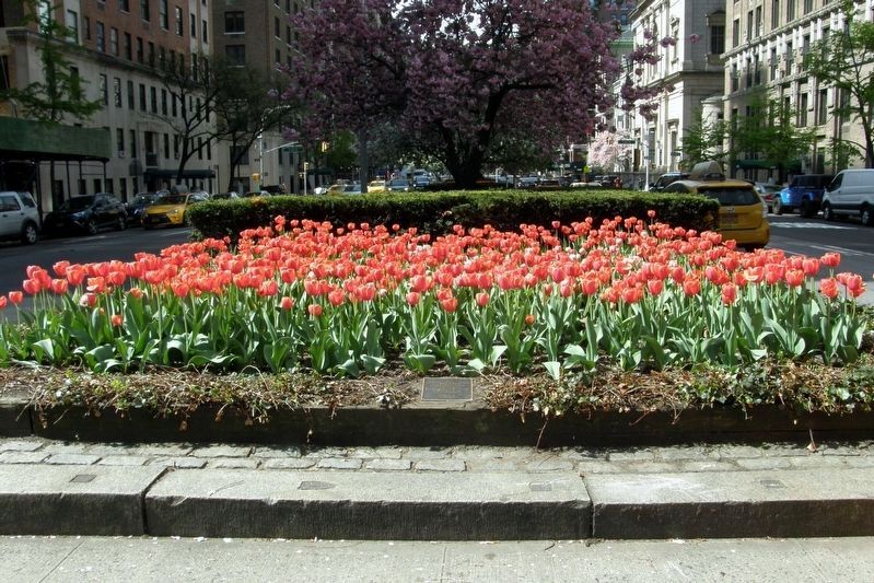 Memorial garden across on the Park Avenue Mall image. Click for full size.