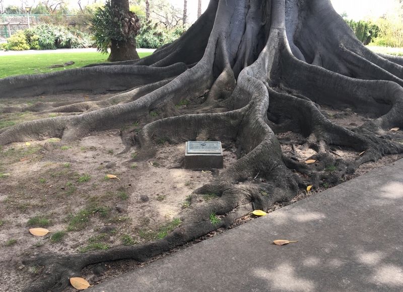 Rancho Los Alamitos Marker. Click for full size. Rancho Los Alamitos Marker image. Click for full size.