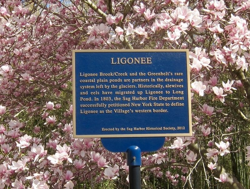 Ligonee Marker image. Click for full size.