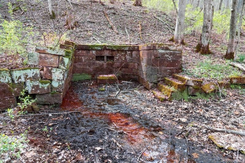 Ruins of the Mineral Spring image. Click for full size.