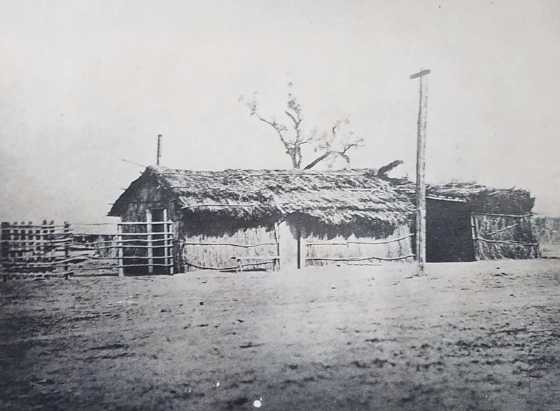 Tule-thatched home purchased by Colonel Thomas Baker in 1862. image. Click for full size.