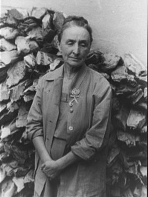 <i>Portrait of Georgia O'Keeffe, Abiquiu, N.M.</i> image. Click for full size.