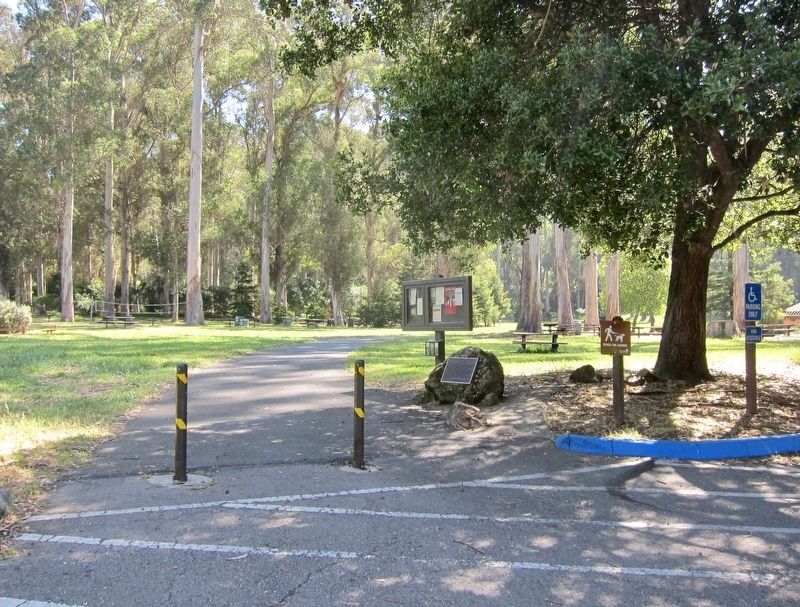 California and Nevada Railroad Marker - wide view, with eucalyptus trees in the background. Click for full size. California and Nevada Railroad Marker - wide view, with eucalyptus trees in the background image. Click for full size.