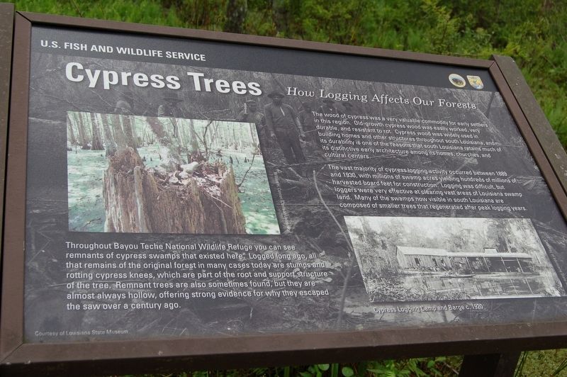 Cypress Trees Marker image. Click for full size.