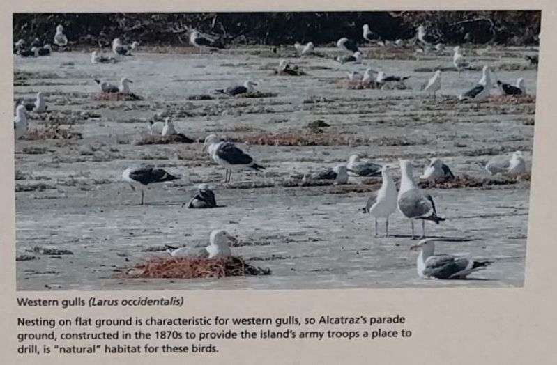 Upper right image image. Click for full size.