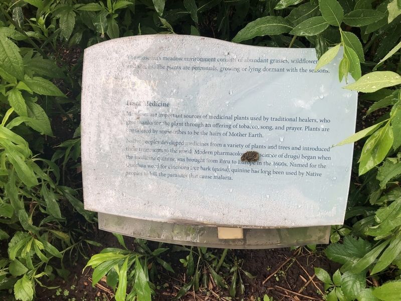 Meadow Marker. Click for full size. Meadow Marker image. Click for full size.