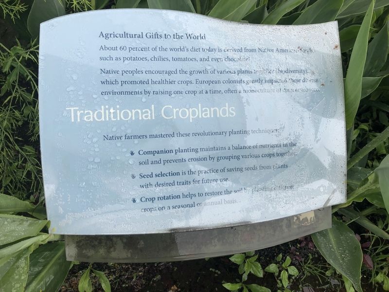 Traditional Croplands Marker. Click for full size. Traditional Croplands Marker image. Click for full size.