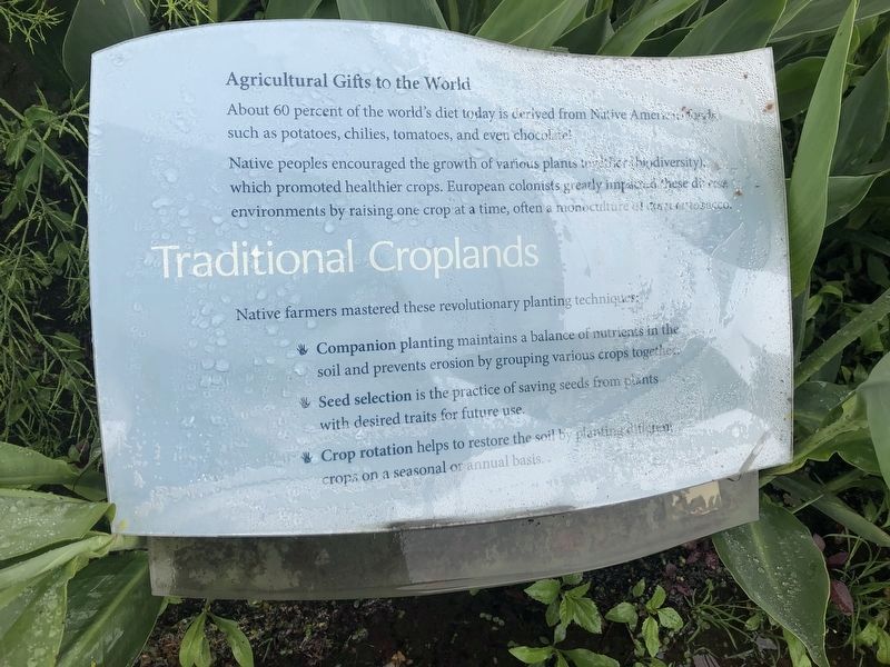 Traditional Croplands Marker image. Click for full size.