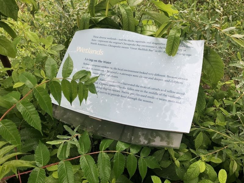 Wetlands Marker. Click for full size. Wetlands Marker image. Click for full size.