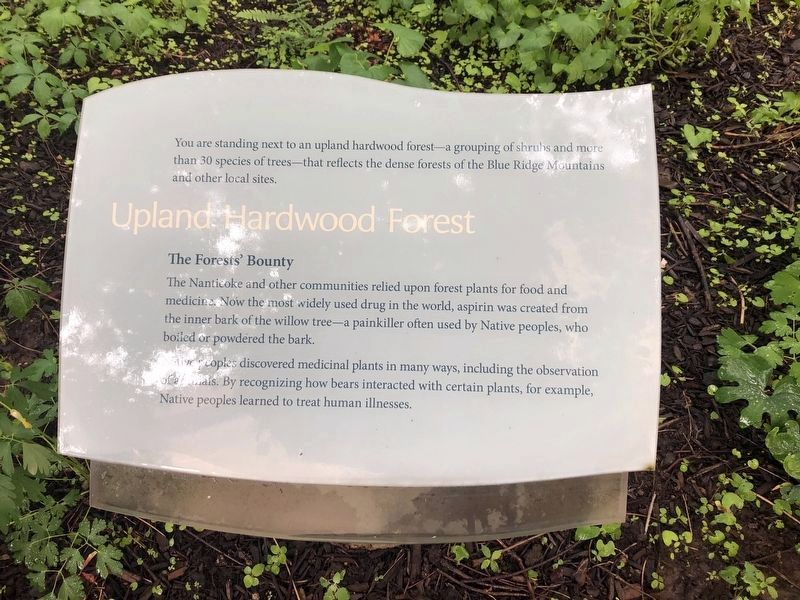 Upland Hardwood Forest Marker image. Click for full size.
