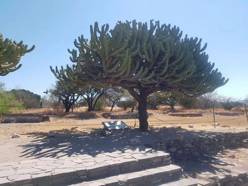 The Building of the Four Altars and Marker image. Click for full size.