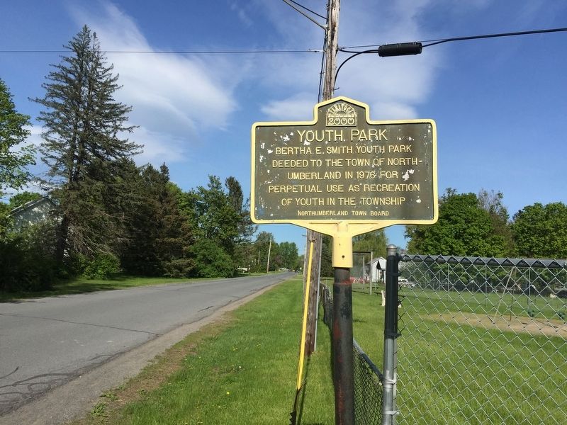 Youth Park Marker. Click for full size. Youth Park Marker image. Click for full size.