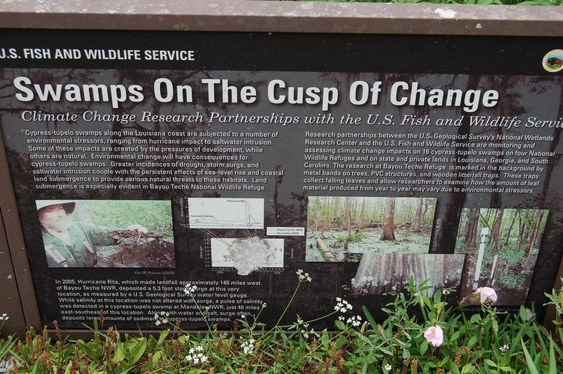 Swamps on the Cusp of Change Marker image. Click for full size.