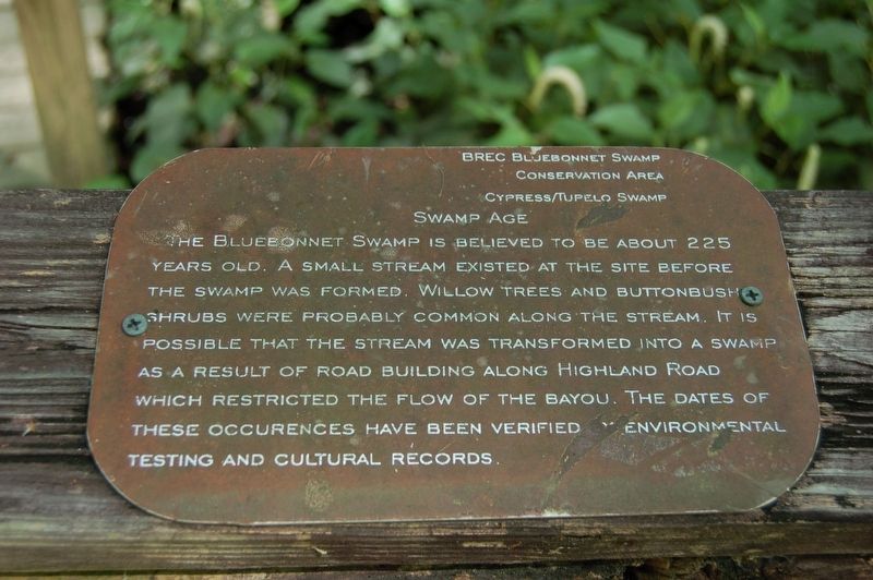 Swamp Age Marker. Click for full size. Swamp Age Marker image. Click for full size.