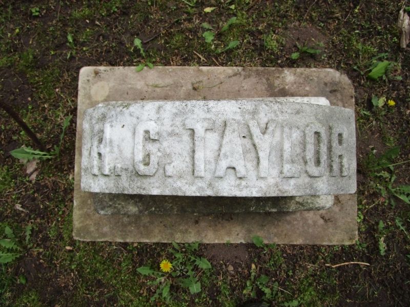 Herbert Taylor Headstone image. Click for full size.