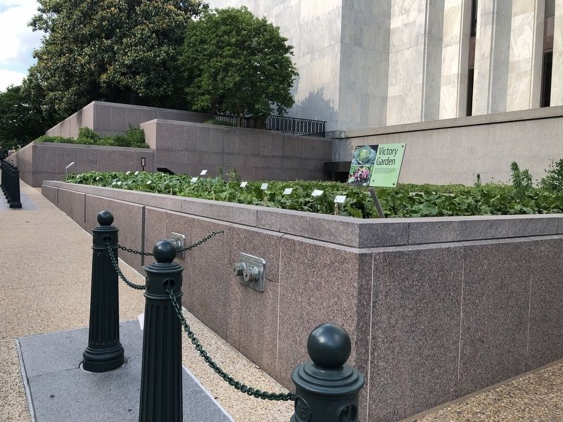 Victory Garden Marker. Click for full size. Victory Garden Marker image. Click for full size.
