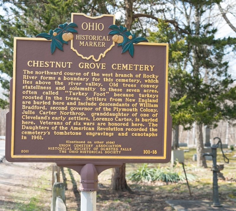 Chestnut Grove Cemetery Marker, side one image. Click for full size.