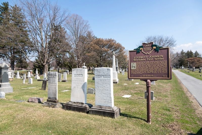 Johnson Gravestones and this Marker image. Click for full size.